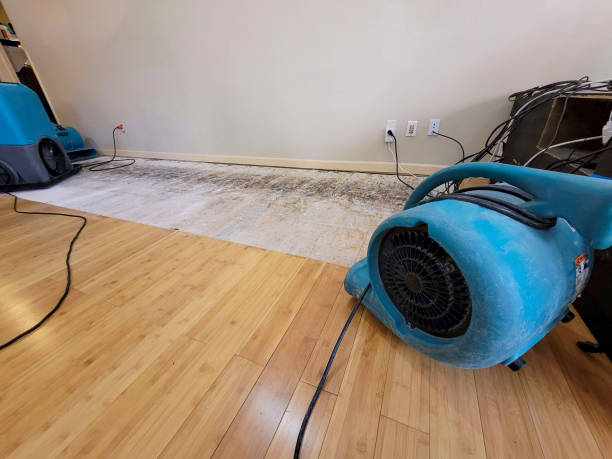 Professional Sewage Cleanup technician working in Marietta, MS
